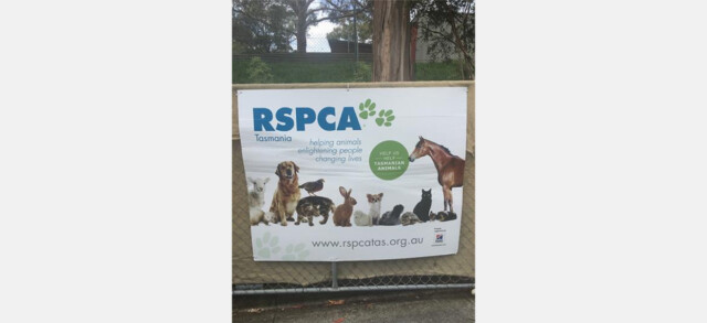 RSPCA-FUNDRAISING-UPDATE